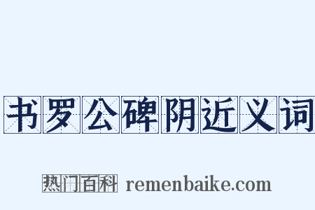 书罗公碑阴近义词是什么意思的图片